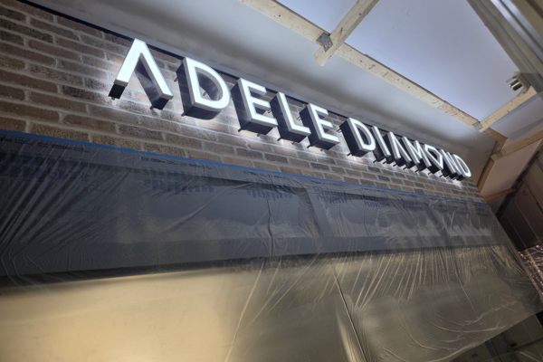 Adele Diamond ChannelLetter