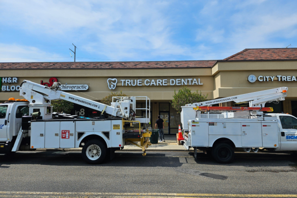 True Care Dental Channel Letter
